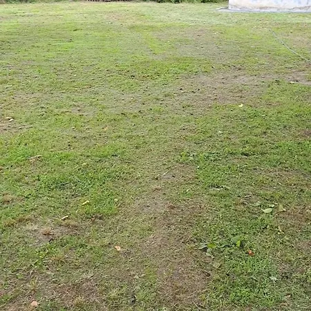 Furo Vendeghaz Holiday home *