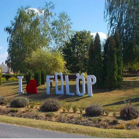 Furo Vendeghaz * Fulop