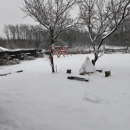 Furo Vendeghaz Fulop