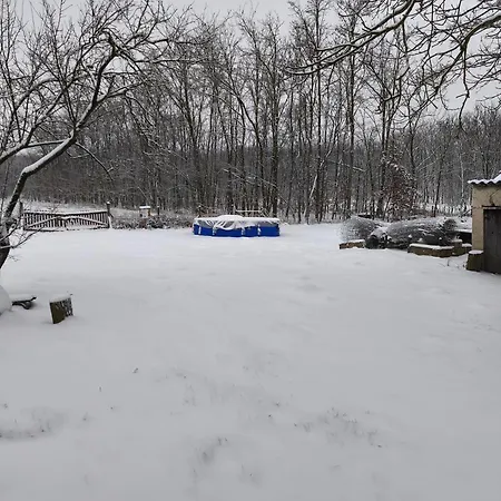 Holiday home Furo Vendeghaz *