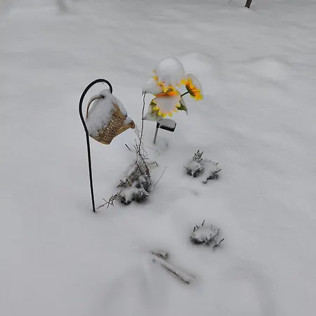 Furo Vendeghaz Fulop