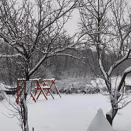 Furo Vendeghaz * Fulop