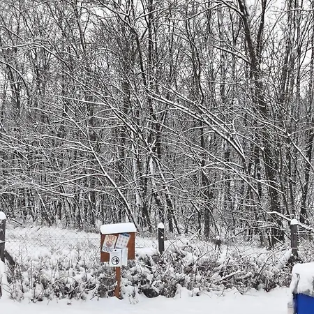 Holiday home Furo Vendeghaz