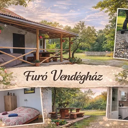 Furo Vendeghaz Holiday home *