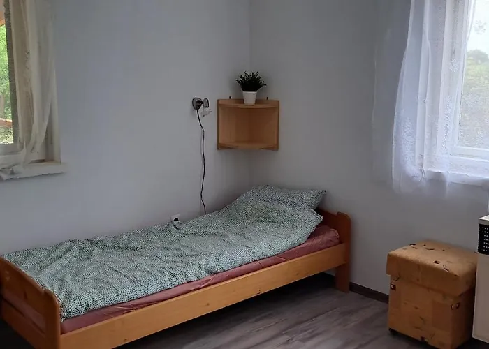 Furo Vendeghaz Fulop