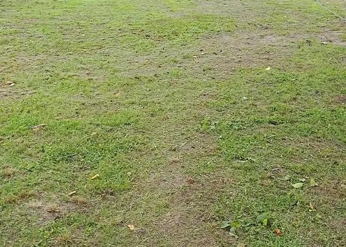 Furo Vendeghaz Ferienhaus *