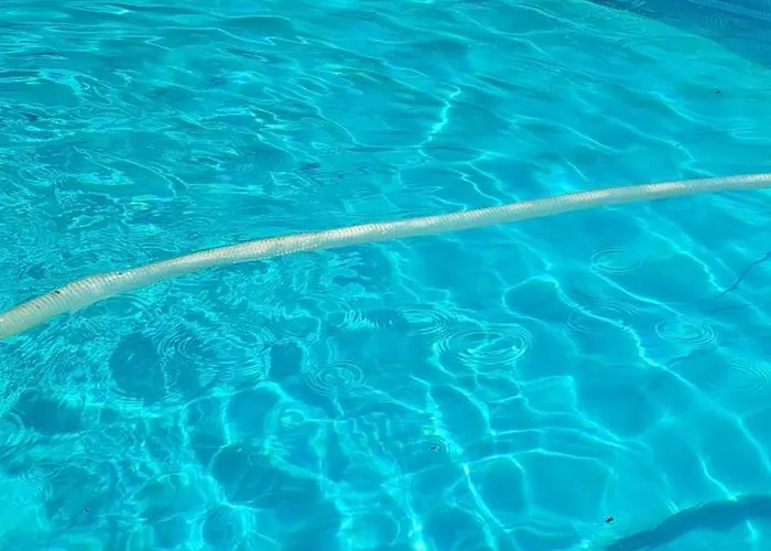 Furo Vendeghaz Fulop