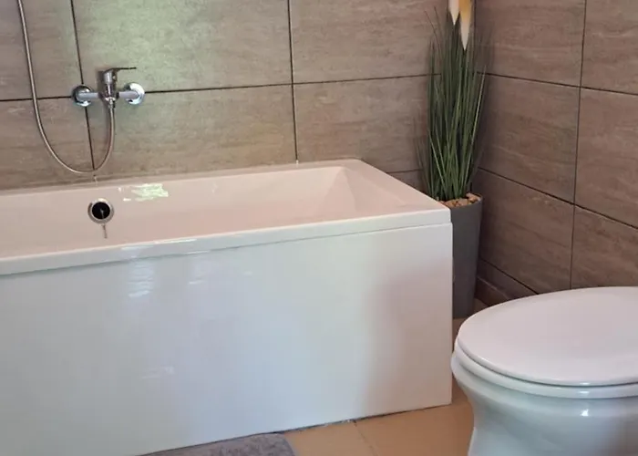 Furo Vendeghaz Fulop