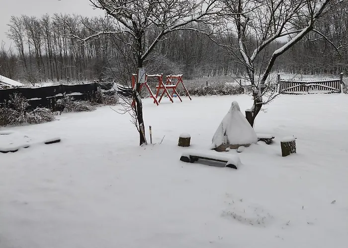 Furo Vendeghaz Fulop