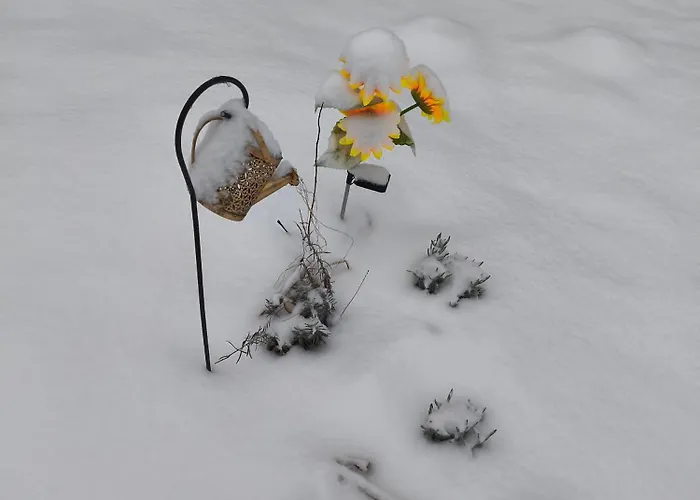 Furo Vendeghaz Fulop