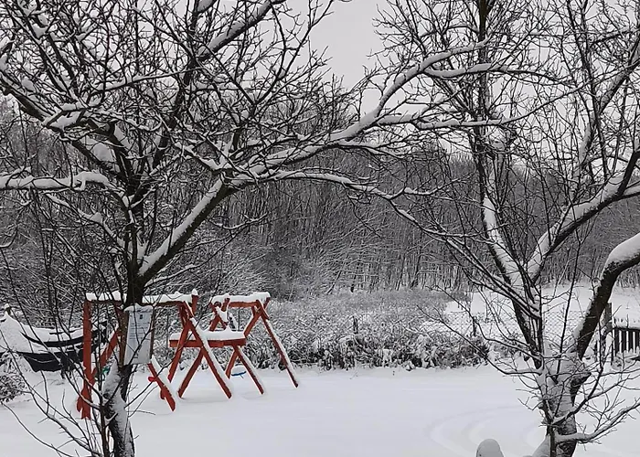 Furo Vendeghaz * Fulop