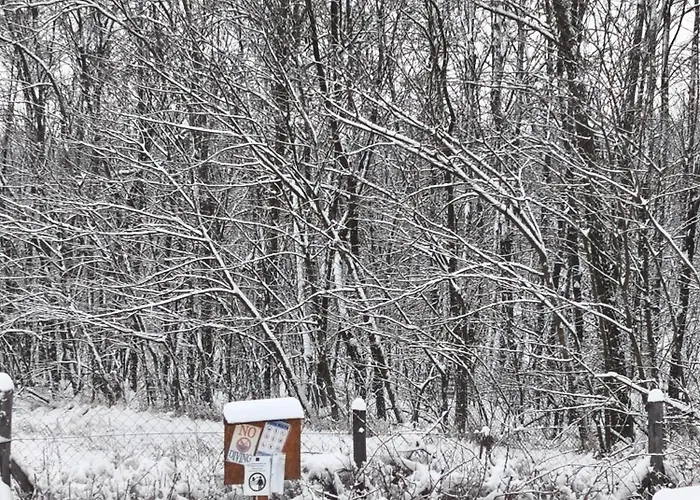 Ferienhaus Furo Vendeghaz